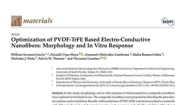 Optimization of PVDF-TrFE Based Electro-Conductive Nanofibers: Morphology and In Vitro Response