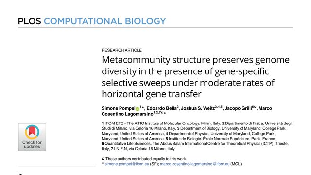 Metacommunity structure preserves genome diversity in the presence of gene-specific selective sweeps under moderate rates of horizontal gene transfer