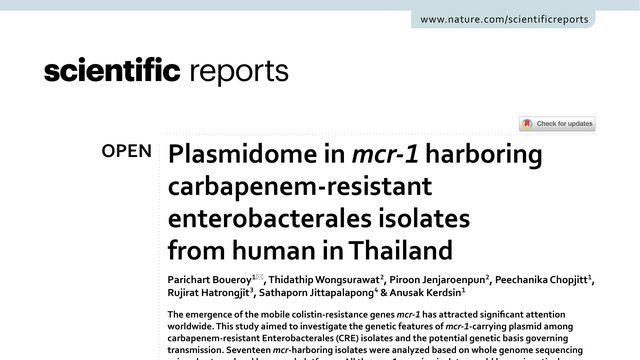 Plasmidome in mcr-1 harboring carbapenem-resistant enterobacterales isolates from human in Thailand