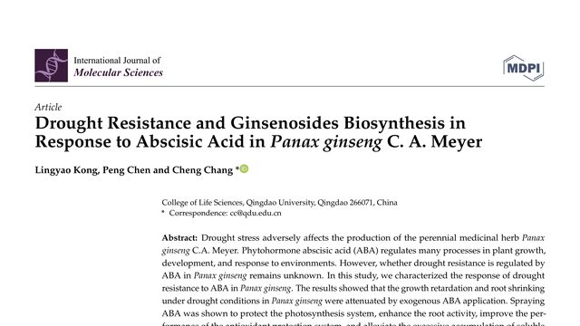 Drought Resistance and Ginsenosides Biosynthesis in Response to Abscisic Acid in Panax ginseng C. A. Meyer