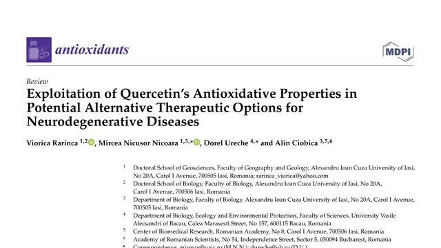 Exploitation of Quercetin’s Antioxidative Properties in Potential Alternative Therapeutic Options for Neurodegenerative Diseases