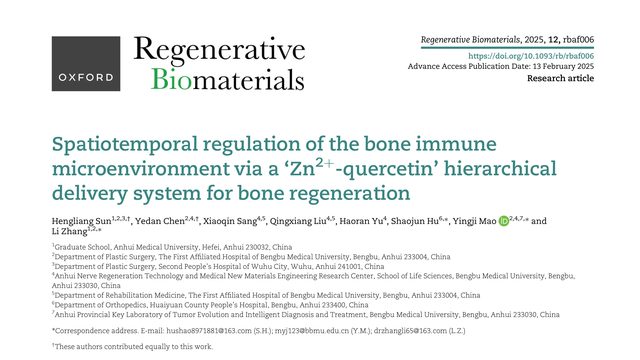 Spatiotemporal regulation of the bone immune microenvironment via a ‘Zn2+-quercetin’ hierarchical delivery system for bone regeneration