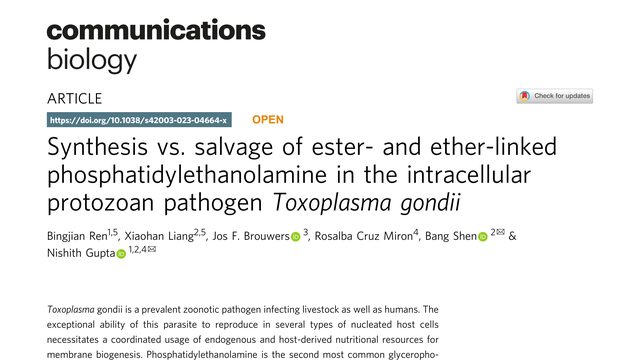 Synthesis vs. salvage of ester- and ether-linked phosphatidylethanolamine in the intracellular protozoan pathogen Toxoplasma gondii