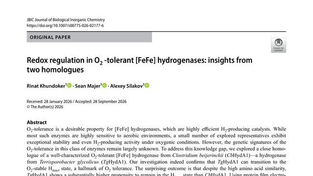 Redox regulation in O2 -tolerant [FeFe] hydrogenases: insights from two homologues
