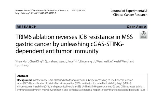 TRIM6 ablation reverses ICB resistance in MSS gastric cancer by unleashing cGAS-STING-dependent antitumor immunity