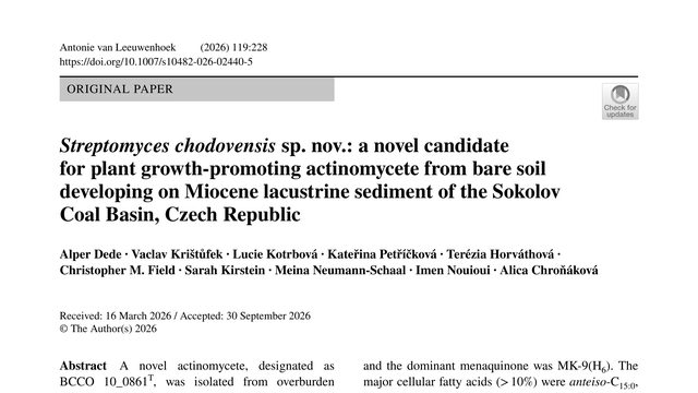 Streptomyces chodovensis sp. nov.: a novel candidate for plant growth-promoting actinomycete from bare soil developing on Miocene lacustrine sediment of the Sokolov Coal Basin, Czech Republic