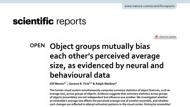 Object groups mutually bias each other’s perceived average size, as evidenced by neural and behavioural data