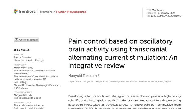 Pain control based on oscillatory brain activity using transcranial alternating current stimulation: An integrative review