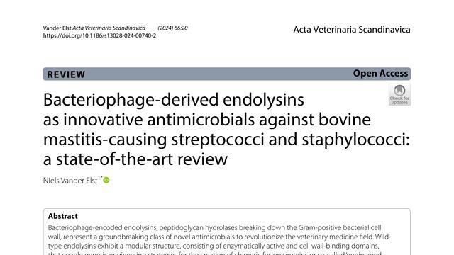 Bacteriophage-derived endolysins as innovative antimicrobials against bovine mastitis-causing streptococci and staphylococci: a state-of-the-art review