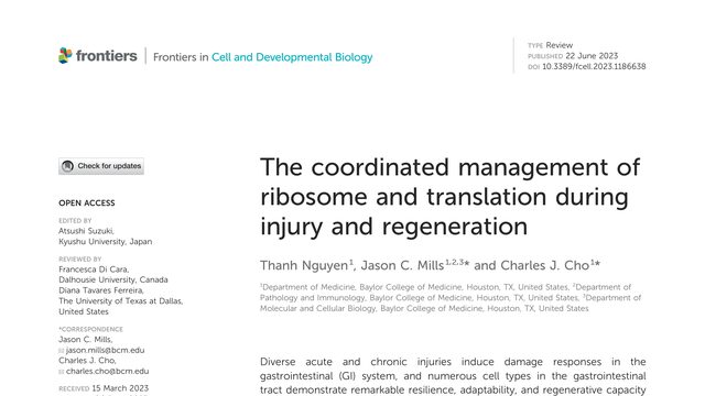 The coordinated management of ribosome and translation during injury and regeneration