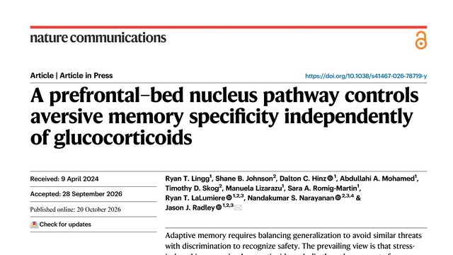 A prefrontal–bed nucleus pathway controls aversive memory specificity independently of glucocorticoids