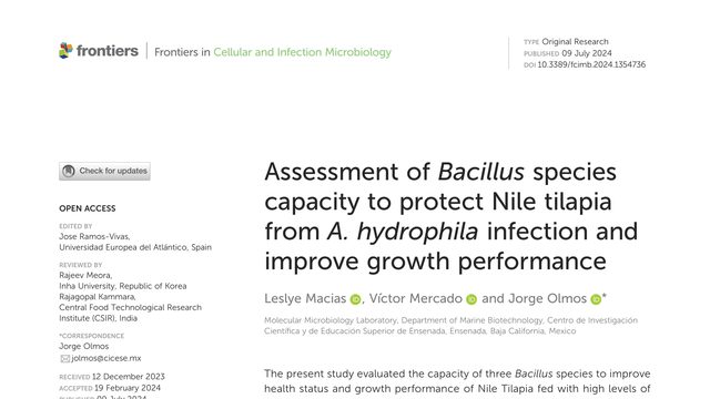 Assessment of Bacillus species capacity to protect Nile tilapia from A. hydrophila infection and improve growth performance