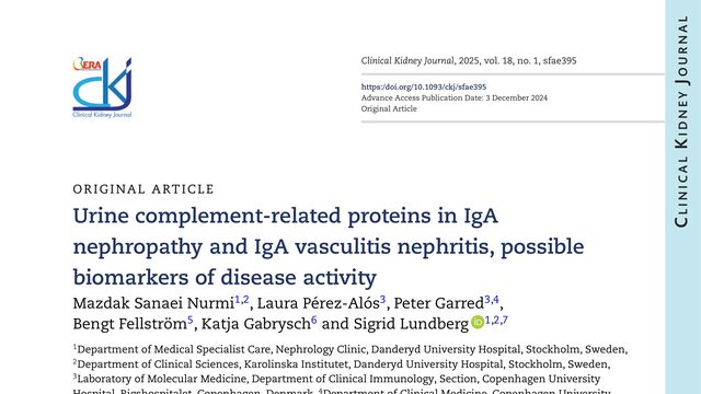 Urine complement-related proteins in IgA nephropathy and IgA vasculitis nephritis, possible biomarkers of disease activity