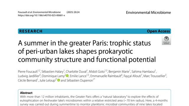 A summer in the greater Paris: trophic status of peri-urban lakes shapes prokaryotic community structure and functional potential