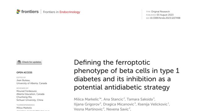 Defining the ferroptotic phenotype of beta cells in type 1 diabetes and its inhibition as a potential antidiabetic strategy