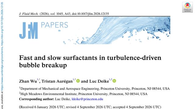 Fast and slow surfactants in turbulence-driven bubble breakup