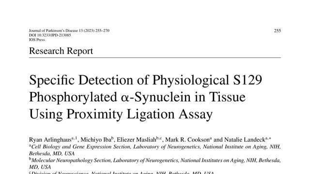 Specific Detection of Physiological S129 Phosphorylated α-Synuclein in Tissue Using Proximity Ligation Assay