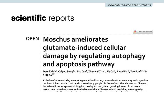 Moschus ameliorates glutamate-induced cellular damage by regulating autophagy and apoptosis pathway