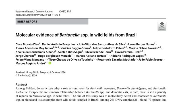 Molecular evidence of Bartonella spp. in wild felids from Brazil