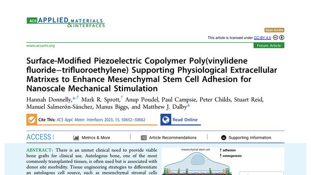 Surface-Modified Piezoelectric Copolymer Poly(vinylidene fluoride–trifluoroethylene) Supporting Physiological Extracellular Matrixes to Enhance Mesenchymal Stem Cell Adhesion for Nanoscale Mechanical Stimulation