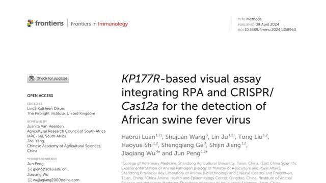 KP177R-based visual assay integrating RPA and CRISPR/Cas12a for the detection of African swine fever virus