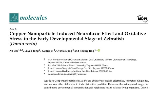 Copper-Nanoparticle-Induced Neurotoxic Effect and Oxidative Stress in the Early Developmental Stage of Zebrafish (Danio rerio)