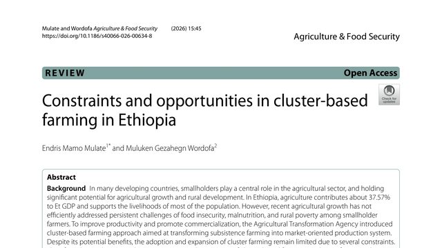 Constraints and opportunities in cluster-based farming in Ethiopia