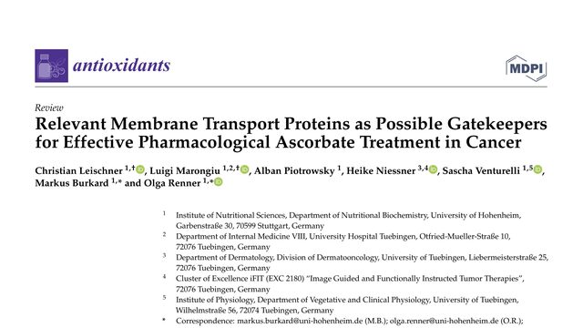 Relevant Membrane Transport Proteins as Possible Gatekeepers for Effective Pharmacological Ascorbate Treatment in Cancer
