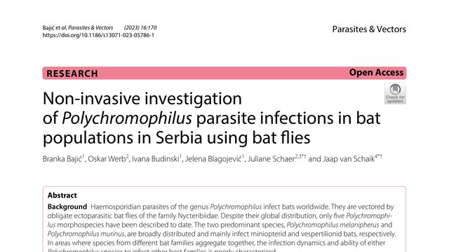 Non-invasive investigation of Polychromophilus parasite infections in bat populations in Serbia using bat flies