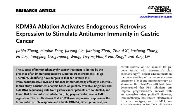 KDM3A Ablation Activates Endogenous Retrovirus Expression to Stimulate Antitumor Immunity in Gastric Cancer