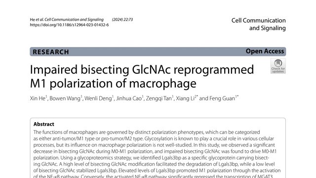 Impaired bisecting GlcNAc reprogrammed M1 polarization of macrophage