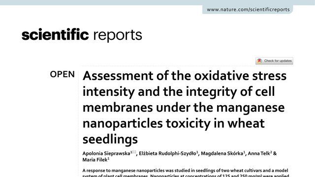 Assessment of the oxidative stress intensity and the integrity of cell membranes under the manganese nanoparticles toxicity in wheat seedlings